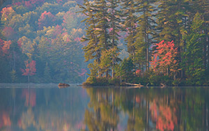 Quiet Limekill Lake by Debbie Nawoszenski