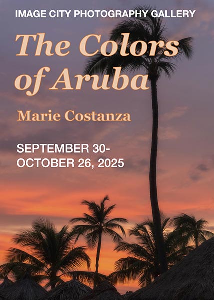 Costanza Show Postcard