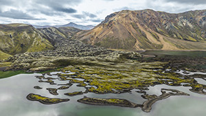 Mosaic of Fire and Ice by Larry Mandelket
