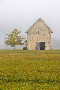 Tributed to Geneseo Yellow Barn by Donna LaPlante
