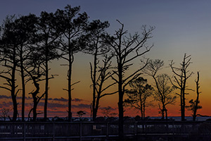 Island Sunset by Joyce Freitas