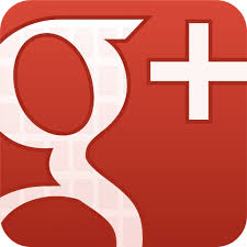 Google Pluse Icon